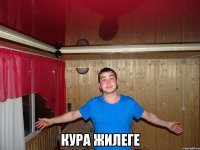  кура жилеге