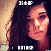 зефир котики