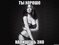 ты хорошо напишешь зно