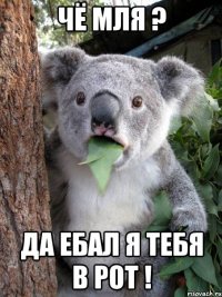 чё мля ? да ебал я тебя в рот !