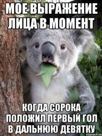 мое выражение лица в момент когда сорока положил первый гол в дальнюю девятку