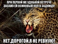 при первой же удобной встрече засажу ей осиновый кол в задницу! нет,дорогой,я не ревную!