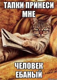 тапки принеси мне человек ебаный