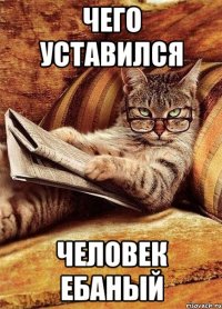 чего уставился человек ебаный