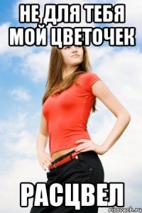 не для тебя мой цветочек расцвел