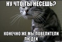ну что ты несешь? конечно же мы повелители людей