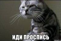 иди проспись