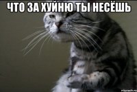 что за хуйню ты несёшь 