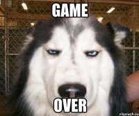 game over