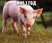 мне 1 год 