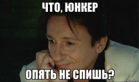 что, юнкер опять не спишь?