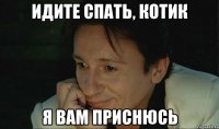 идите спать, котик я вам приснюсь