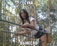 сука вынесло