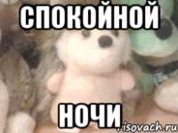 спокойной ночи