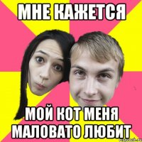 мне кажется мой кот меня маловато любит