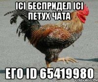 iсi беспридел iсi петух чата его id 65419980