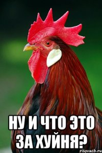  ну и что это за хуйня?