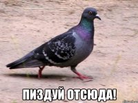  пиздуй отсюда!