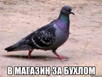  в магазин за бухлом