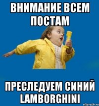 внимание всем постам преследуем синий lamborghini