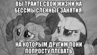 вы траите свои жизни на бессмысленные занятия, на которым другим пони попросту плевать