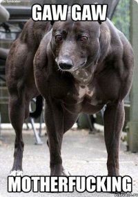 gaw gaw motherfucking