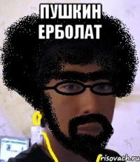 пушкин ерболат 
