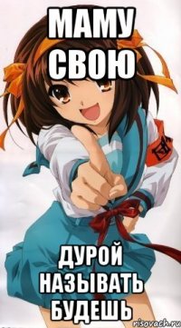 маму свою дурой называть будешь