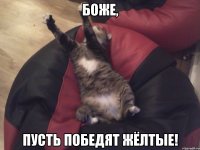 боже, пусть победят жёлтые!