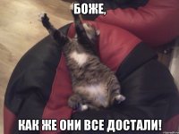 боже, как же они все достали!