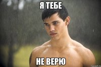 я тебе не верю