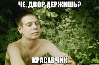 че, двор держишь? красавчик