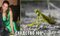  сходство 100%