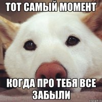 тот самый момент когда про тебя все забыли