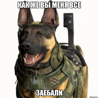 как же вы меня все заебали
