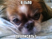 в ебло прописать?