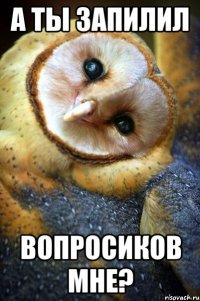 а ты запилил вопросиков мне?