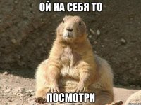 ой на себя то посмотри