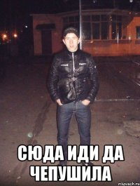  сюда иди да чепушила