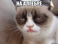 на алгебре 