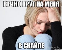 вечно орут на меня в скайпе