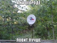 а на огороде ловит лучше