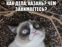 как дела, казань? чем занимаетесь? 