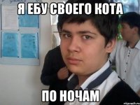 я ебу своего кота по ночам