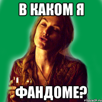 в каком я фандоме?