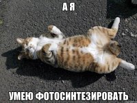 а я умею фотосинтезировать