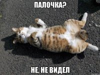 палочка? не, не видел