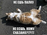 не ешь палку не есшь, кому сказано?7?77