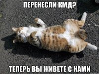 перенесли кмд? теперь вы живете с нами