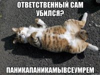 ответственный сам убился? паникапаникамывсеумрем